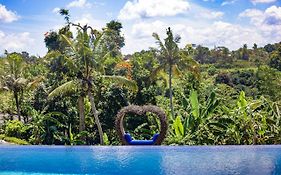 Wake In Paradise And Luxury Lebah Villas